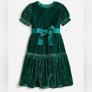 Crewcuts puff-sleeve velvet dress size 2